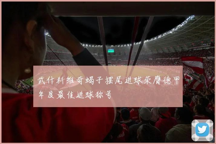 武什科维奇蝎子摆尾进球荣膺德甲年度最佳进球称号