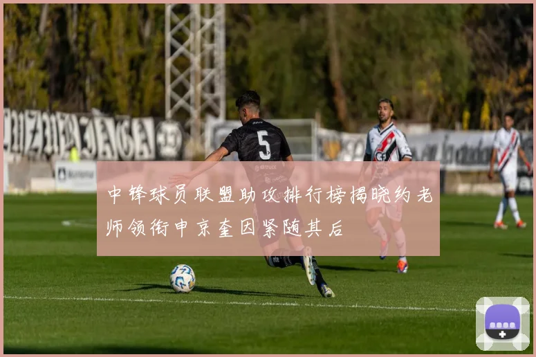 中锋球员联盟助攻排行榜揭晓约老师领衔申京奎因紧随其后