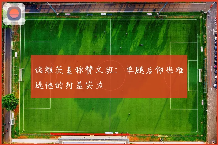 诺维茨基称赞文班：单腿后仰也难逃他的封盖实力