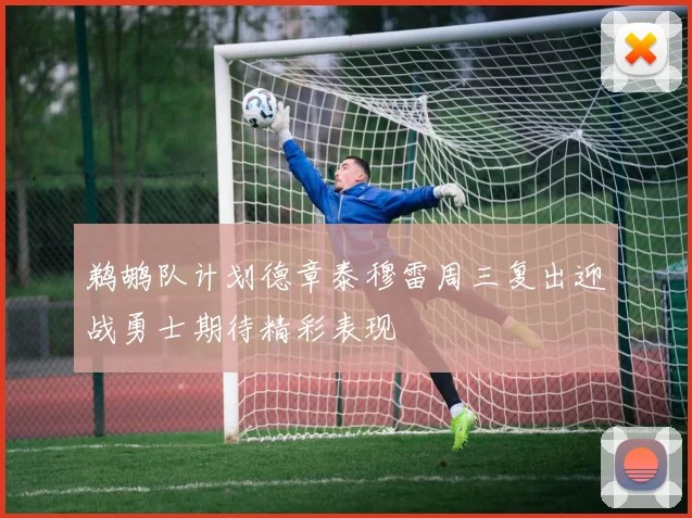 鹈鹕队计划德章泰穆雷周三复出迎战勇士期待精彩表现