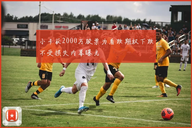 小卡获2000万股票为看跌期权下跌不受损失内幕曝光