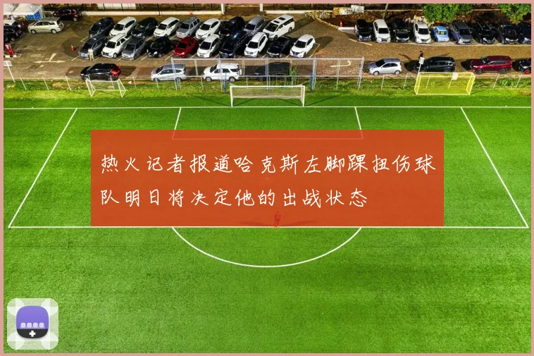热火记者报道哈克斯左脚踝扭伤球队明日将决定他的出战状态