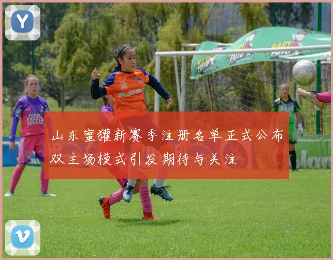 山东蜜獾新赛季注册名单正式公布双主场模式引发期待与关注