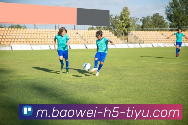 App Interface Preview